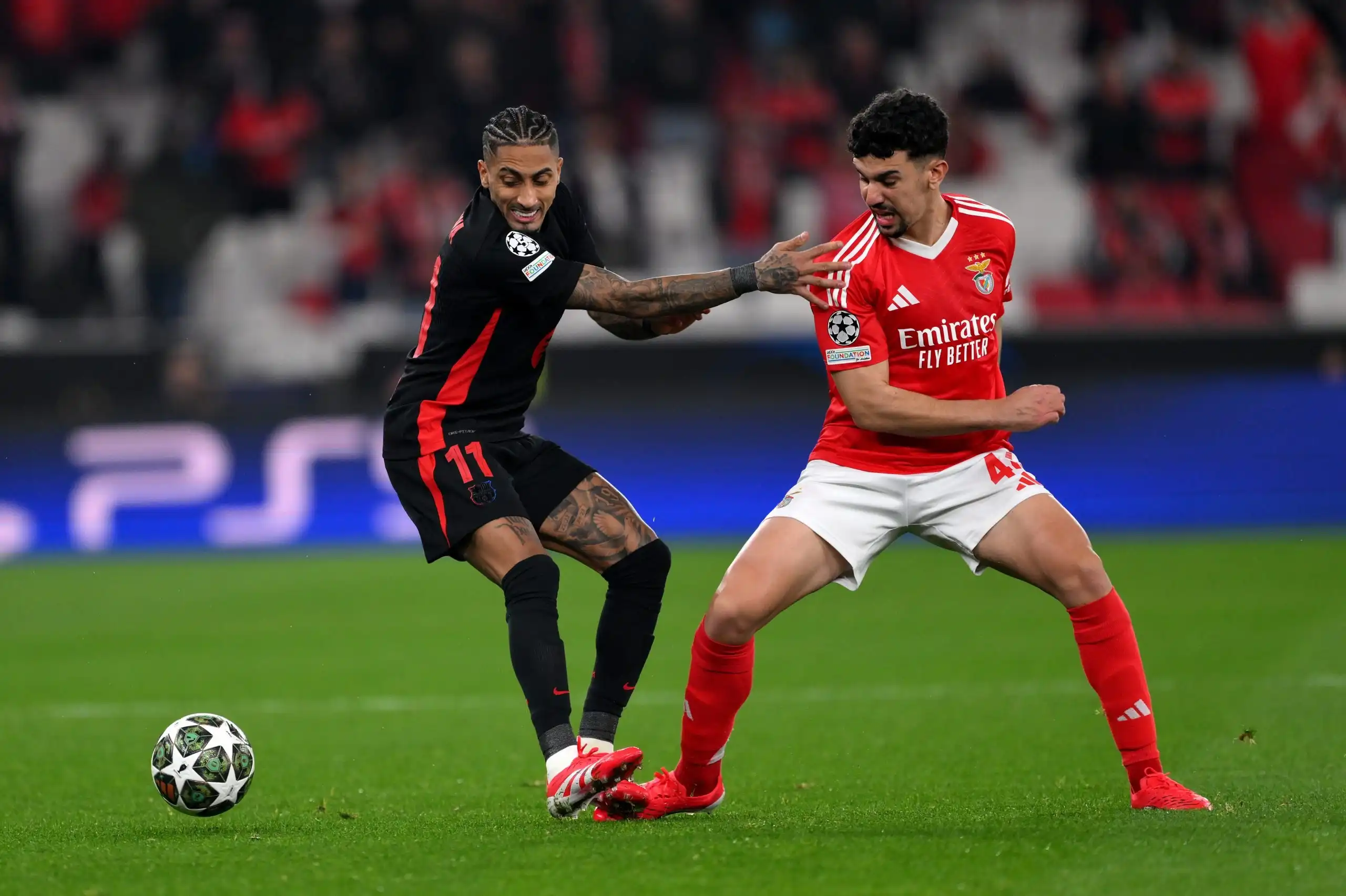 Hợp đồng hiện tại giữa Tomas Araujo và Benfica có thời hạn kéo dài đến mùa hè năm 2029 Hợp đồng hiện tại giữa Tomas Araujo và Benfica có thời hạn kéo dài đến mùa hè năm 2029